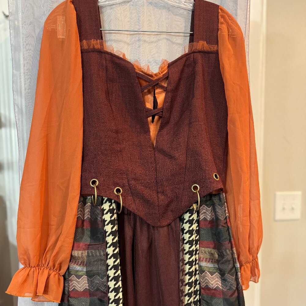 Disney Hocus Pocus Costume Dress Sanderson Sisters Halloween Adult M
